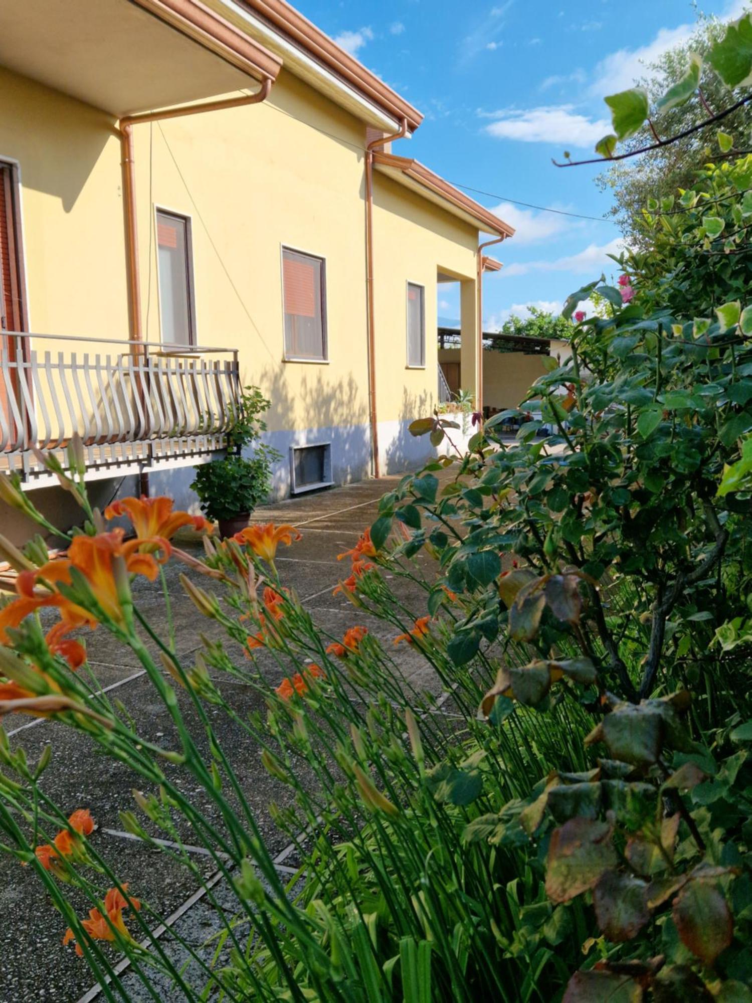Relax In Campagna - Aquino公寓 外观 照片