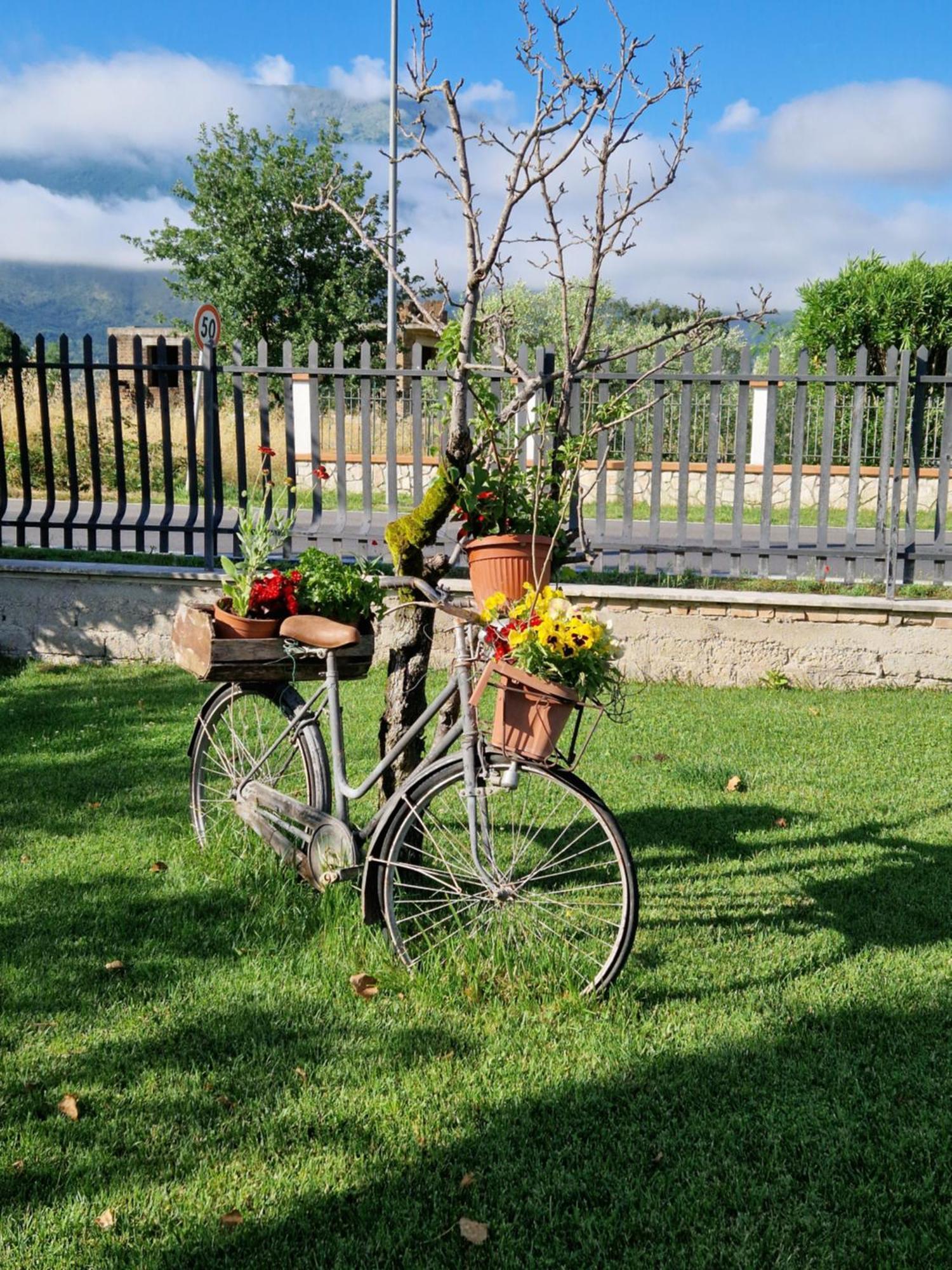 Relax In Campagna - Aquino公寓 外观 照片